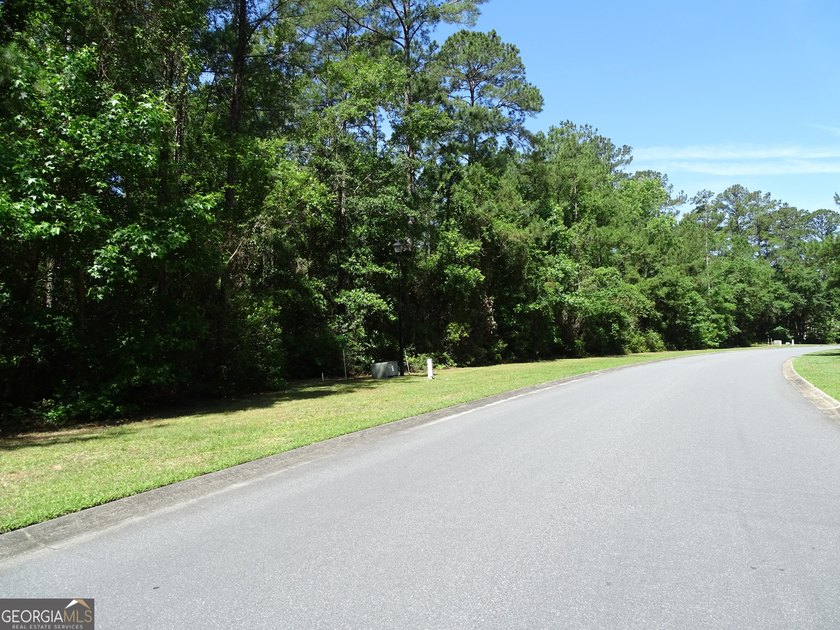 Build your coastal dream home on this spacious 1.46-acre - photo 6