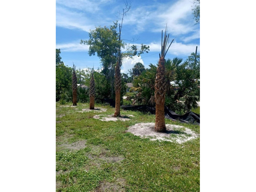 This 0.33-acre buildable lot in Edgewater offers a rare - photo 3