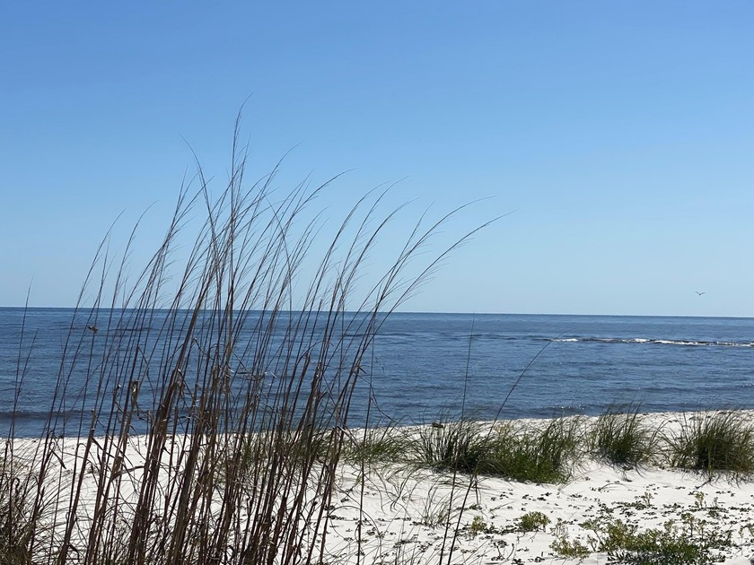 BRING BACK UP OFFERS!! Spectacular COASTAL 3 bedroom / 3 full - photo 39
