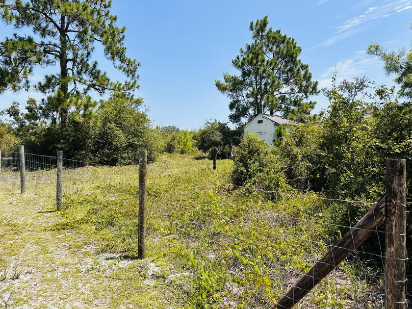 One of the most unique homesites in St Lucie County! 80 x 126.5 - photo 24