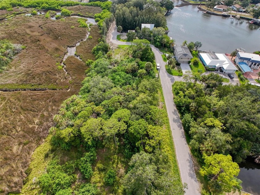 This undeveloped lot is located in the WATERFRONT COMMUNITY of - photo 11