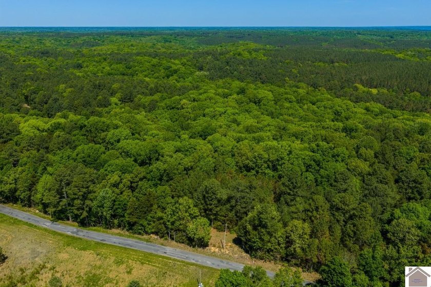 Secluded property on Bailey Cemetery Rd. in New Concord, KY - photo 25