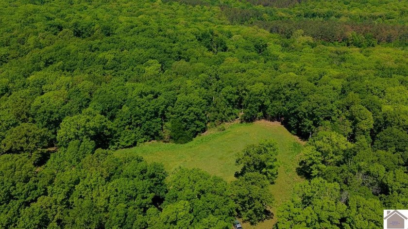 Secluded property on Bailey Cemetery Rd. in New Concord, KY - photo 31