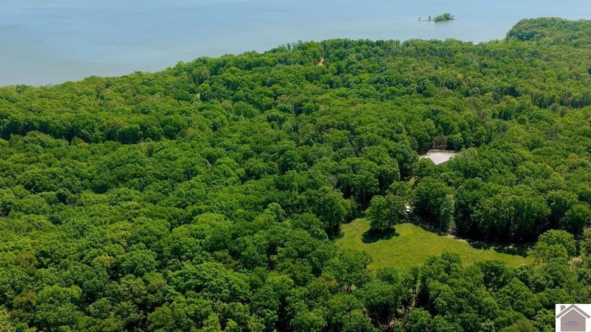 Secluded property on Bailey Cemetery Rd. in New Concord, KY - photo 36