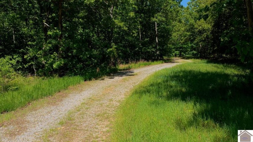 Secluded property on Bailey Cemetery Rd. in New Concord, KY - photo 44