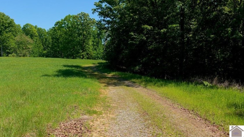 Secluded property on Bailey Cemetery Rd. in New Concord, KY - photo 45