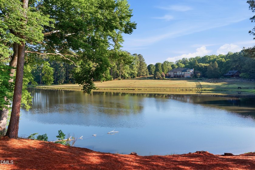 Welcome to 1404 Barony Lake Way! This breathtaking French - photo 7