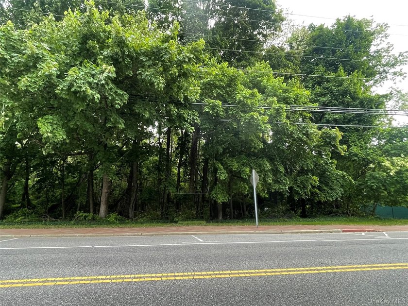Prime J-2 Zoned Commercial Lot in Rocky Point! ( For refercene&amp; - photo 2