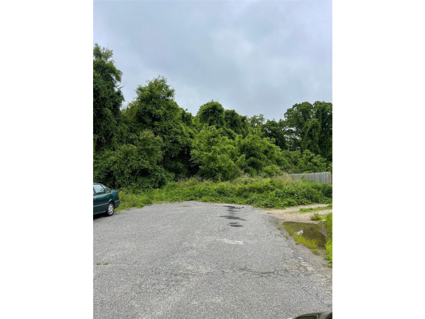 Welcome to this exceptional residential buildable lot located on - photo 2