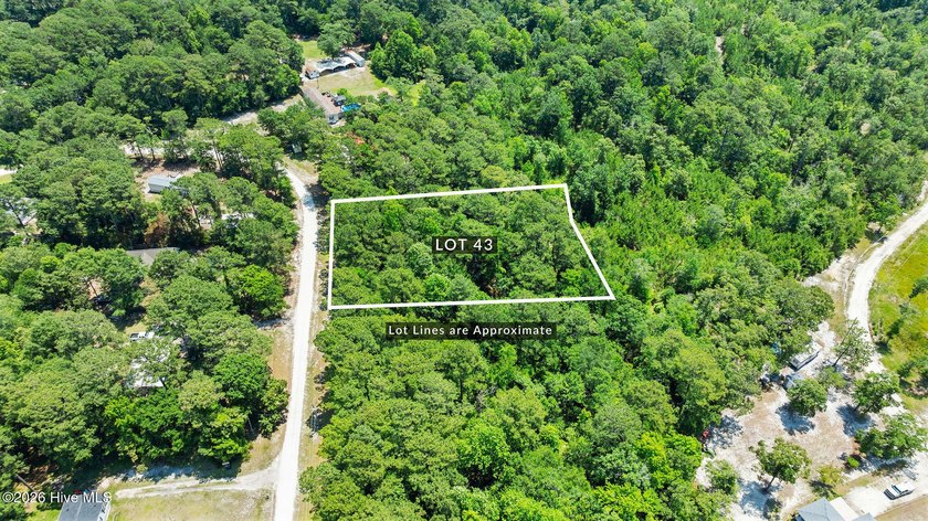 Beautiful 0.50-acre wooded lot in the Virginia Creek Forest - photo 2