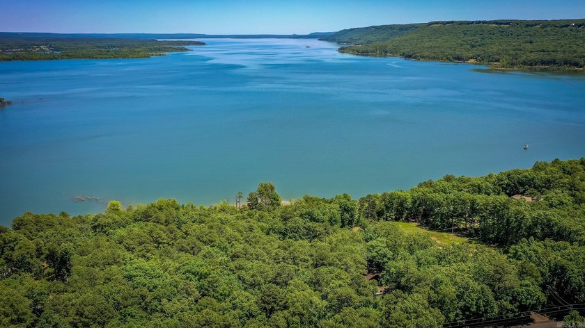 Come checkout this Furnished Lakefront Log cabin with stunning - photo 42