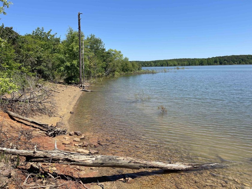 Come checkout this Furnished Lakefront Log cabin with stunning - photo 50