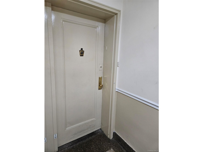 Exclusive Opportunity in Marine Park, Brooklyn! Welcome to this - photo 6