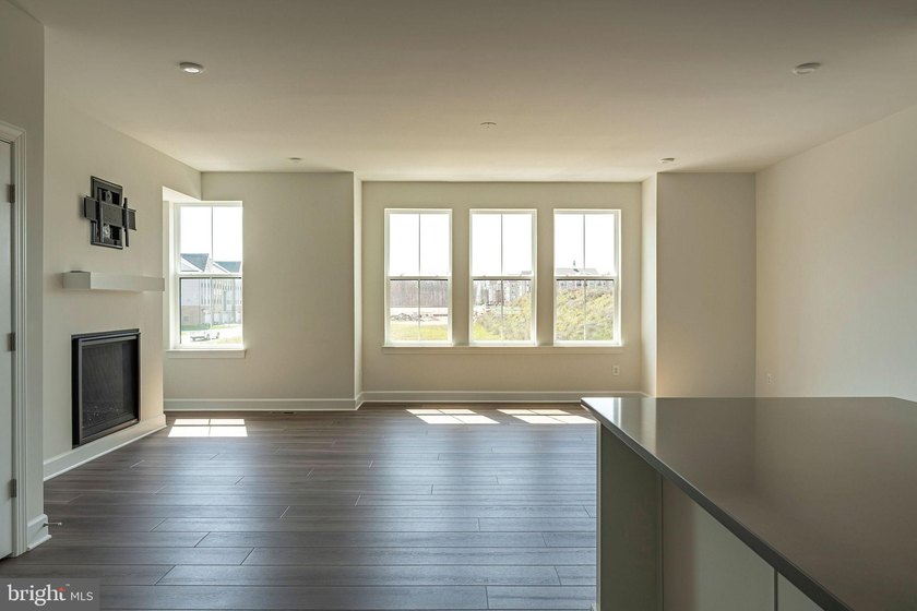 Brand-New Miller &amp; Smith Elevator Brownstone-one of only FOUR - photo 12