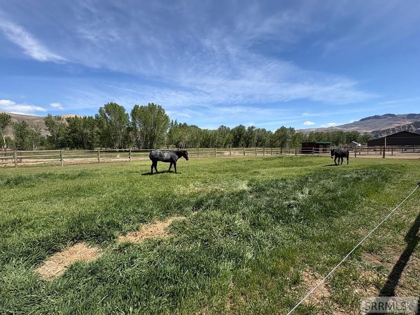 This one-of-a-kind horse property is a rare gem that doesn't - photo 44