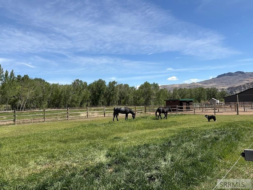 This one-of-a-kind horse property is a rare gem that doesn't - photo 46