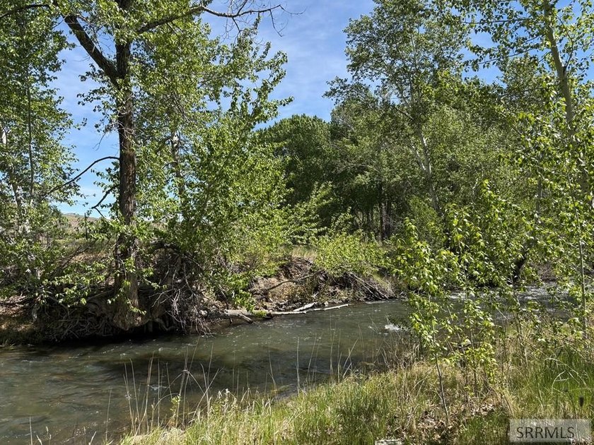 This one-of-a-kind horse property is a rare gem that doesn't - photo 48