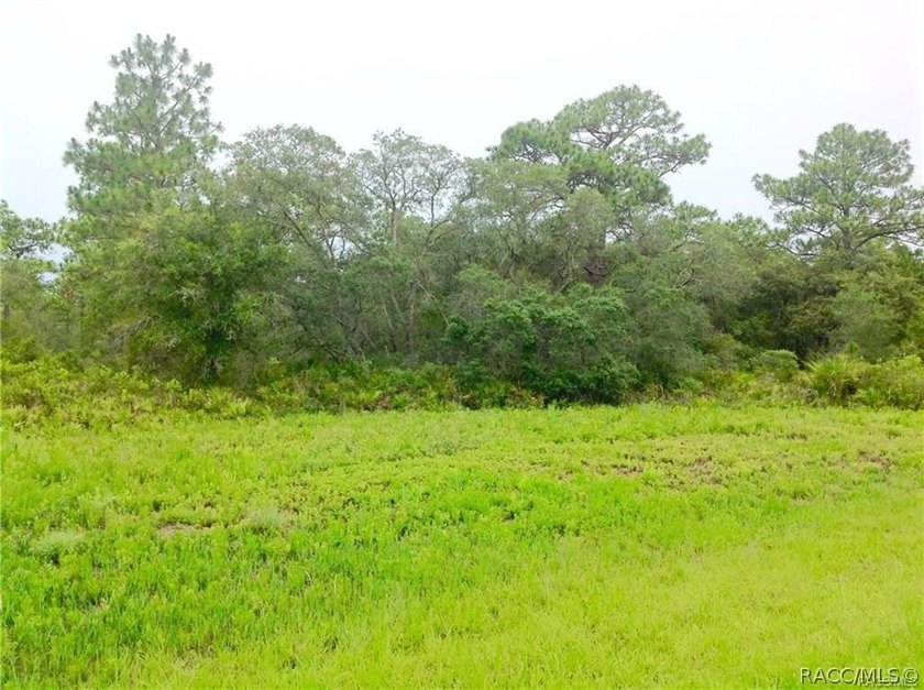 6.87 Acres Prime Land for Townhomes and Commercial Out Parcels - photo 8