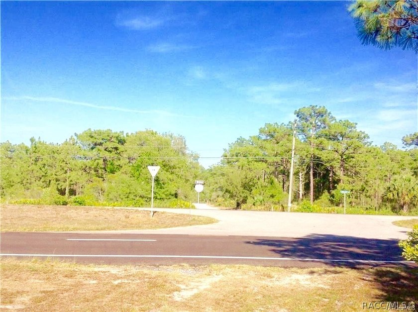 6.87 Acres Prime Land for Townhomes and Commercial Out Parcels - photo 9