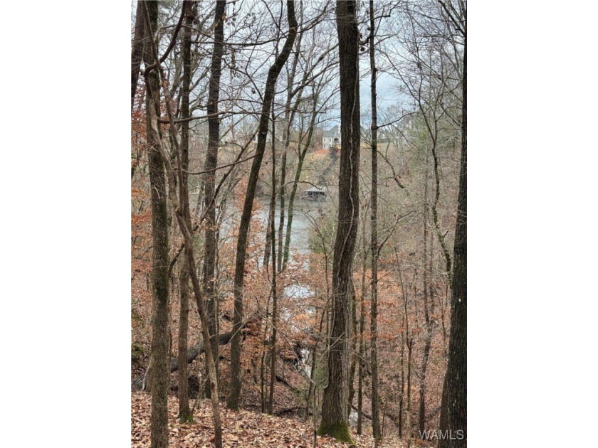 Great opportunity to build your dream home in Crown Pointe! One - photo 2