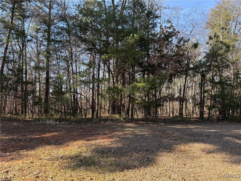 Great opportunity to build your dream home in Crown Pointe! One - photo 4