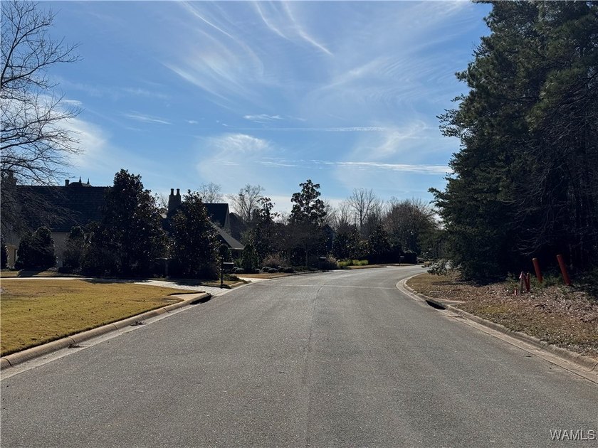 Great opportunity to build your dream home in Crown Pointe! One - photo 7