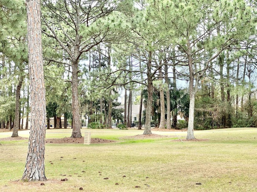 Take advantage of an exciting opportunity to own in Augusta - photo 46