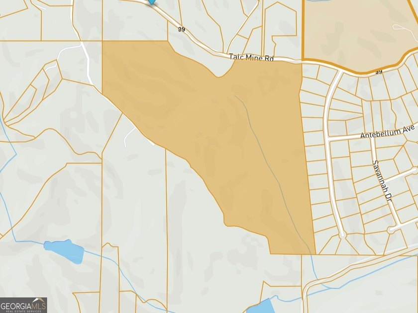 Seller will CONSIDER SUBDIVIDING. Parcels like this seem to be - photo 2