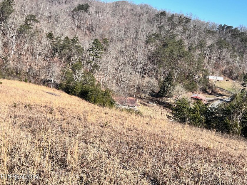 Welcome to Tract 2 on Bundren Mountain in beautiful East - photo 12