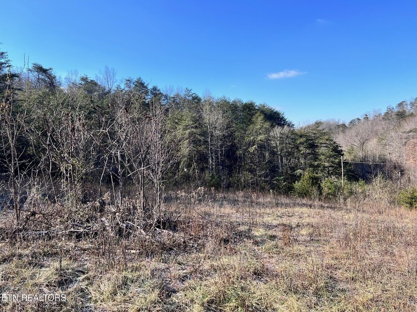 Welcome to Tract 2 on Bundren Mountain in beautiful East - photo 13