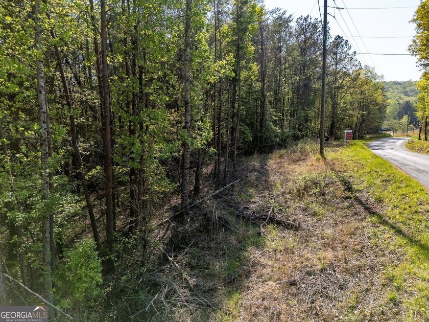 Seller will CONSIDER SUBDIVIDING. Parcels like this seem to be - photo 5