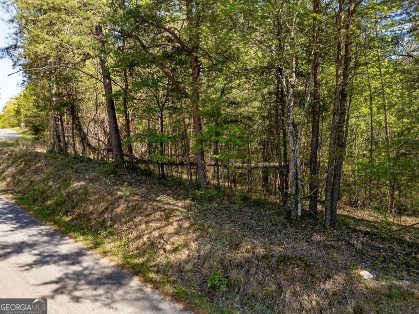 Seller will CONSIDER SUBDIVIDING. Parcels like this seem to be - photo 7