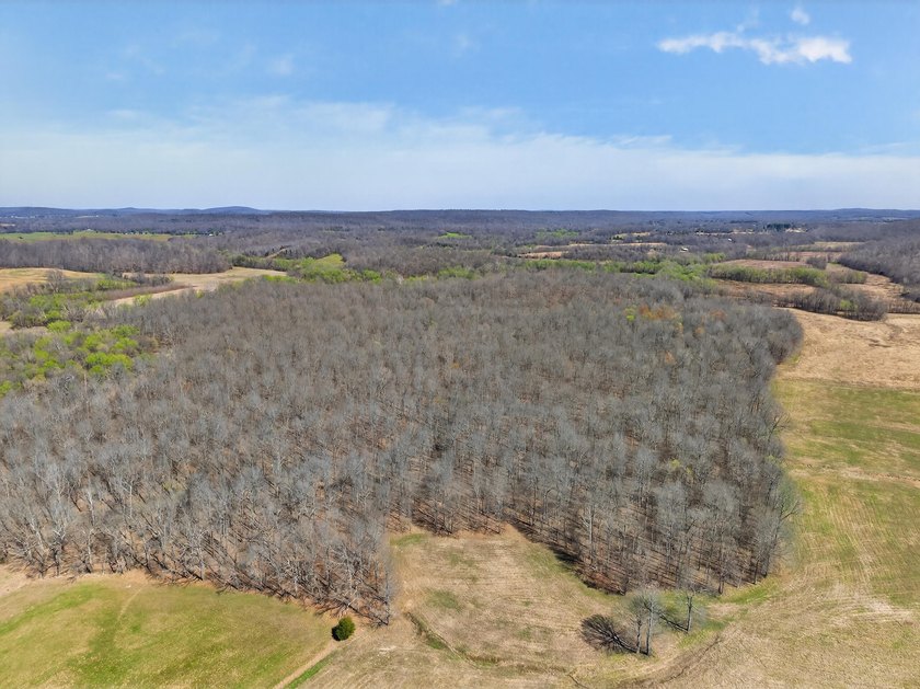 This expansive 210 acre farm features approximately 60 acres of - photo 11