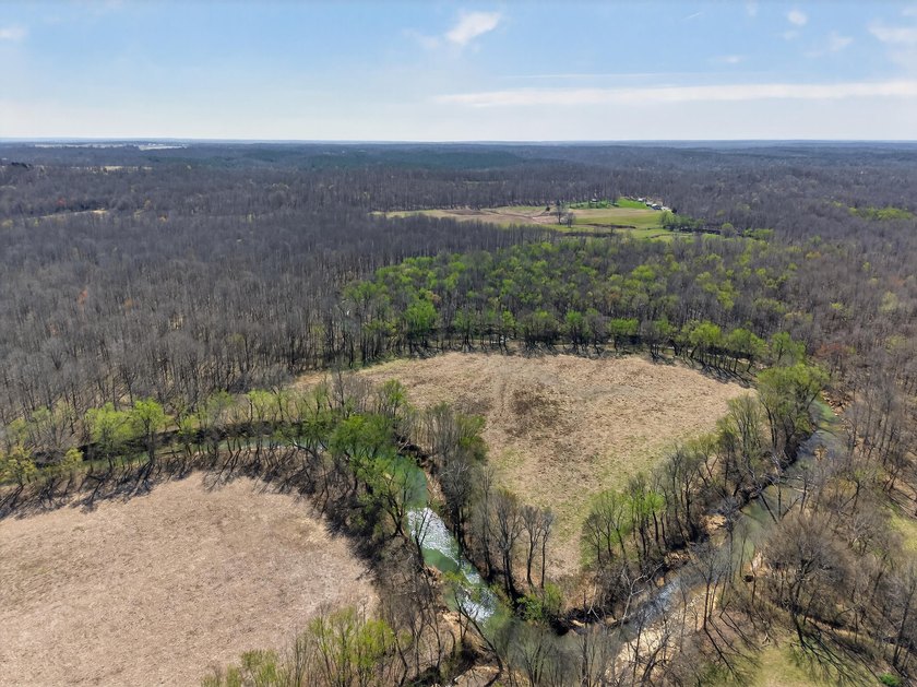 This expansive 210 acre farm features approximately 60 acres of - photo 13