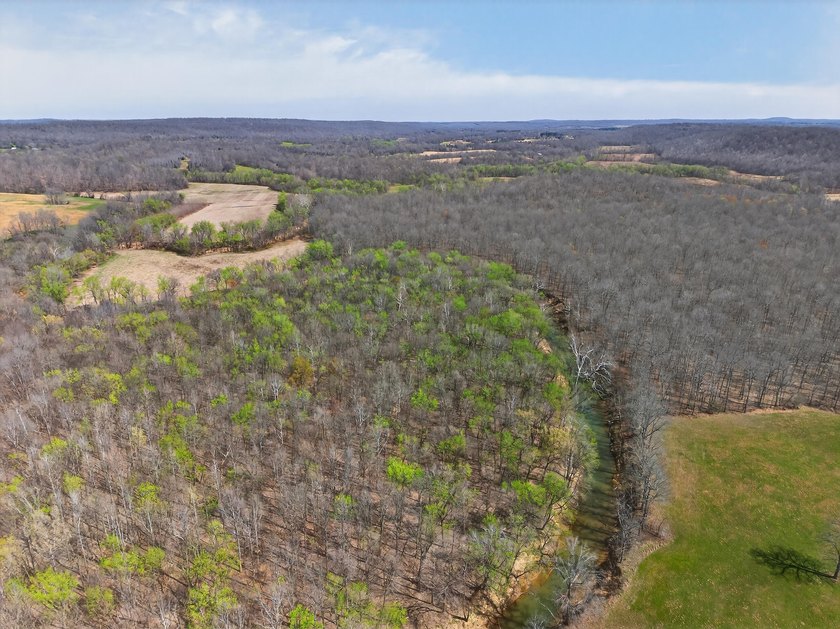 This expansive 210 acre farm features approximately 60 acres of - photo 14