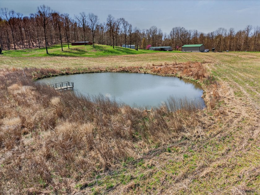 This expansive 210 acre farm features approximately 60 acres of - photo 18