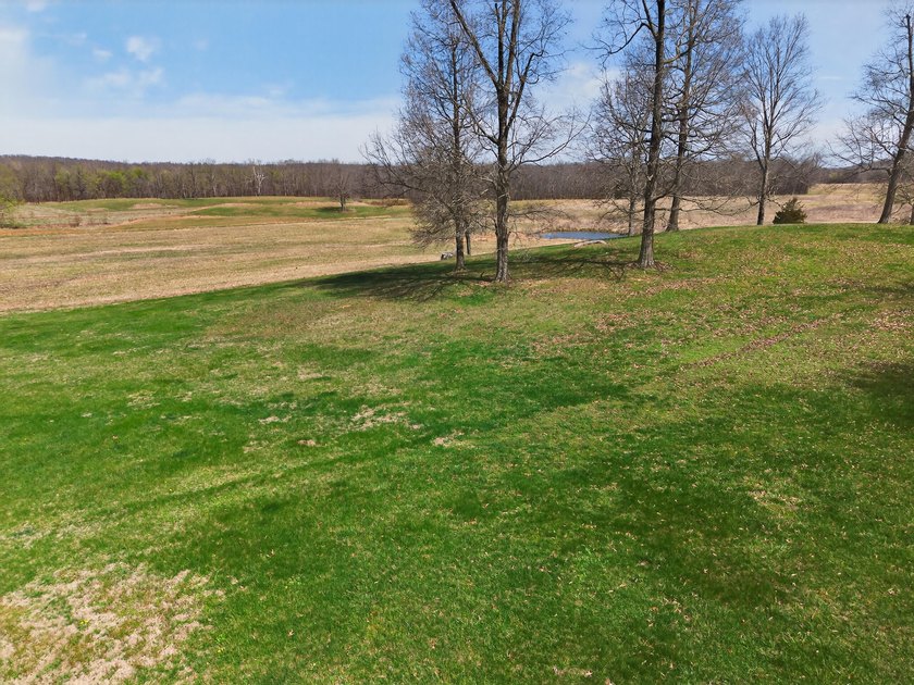 This expansive 210 acre farm features approximately 60 acres of - photo 19