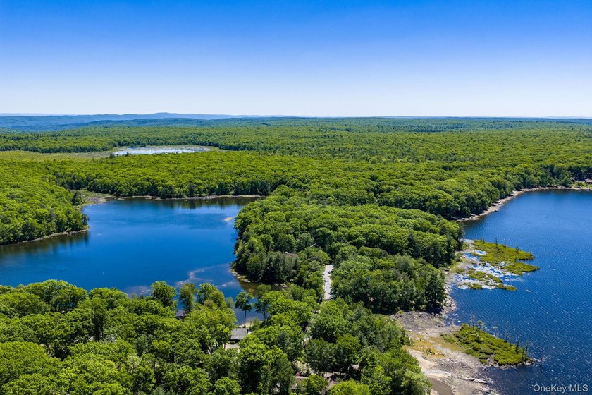 With approximately 150 feet of shoreline on scenic Division Pond - photo 41