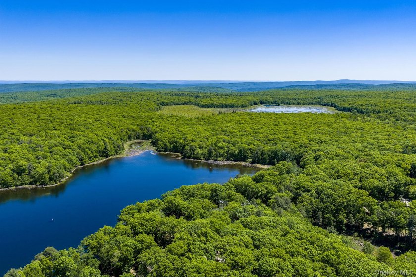 With approximately 150 feet of shoreline on scenic Division Pond - photo 42