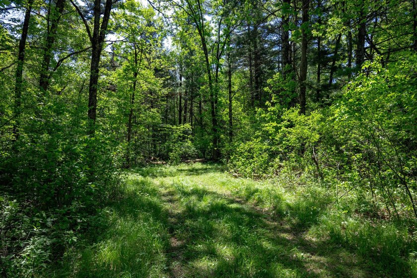 MOTIVATED SELLER! This is your chance to own a lot on Lake - photo 14