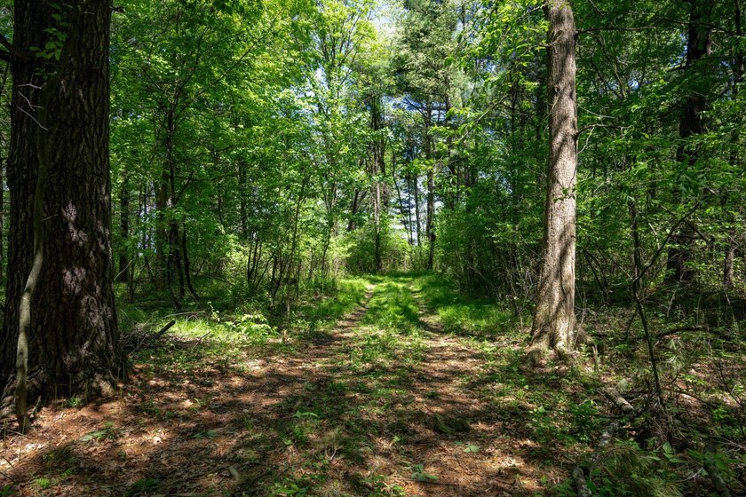 MOTIVATED SELLER! This is your chance to own a lot on Lake - photo 16