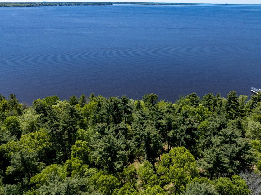 MOTIVATED SELLER! This is your chance to own a lot on Lake - photo 21