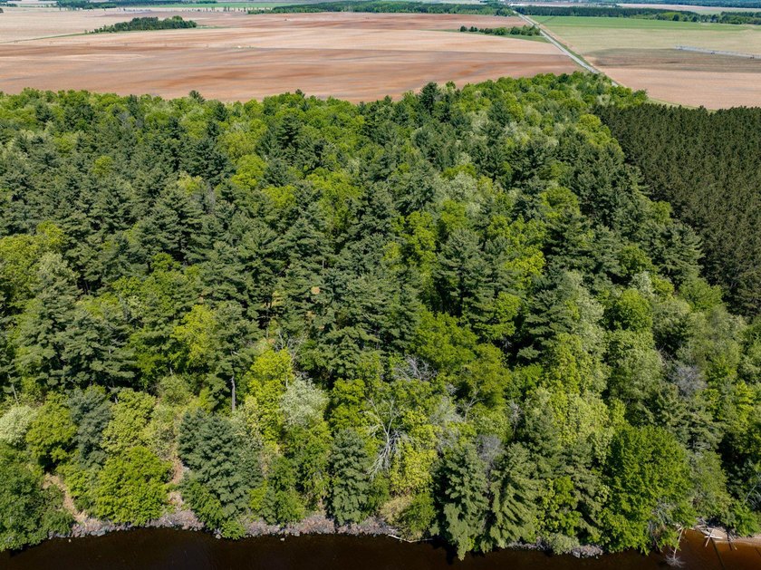 MOTIVATED SELLER! This is your chance to own a lot on Lake - photo 25