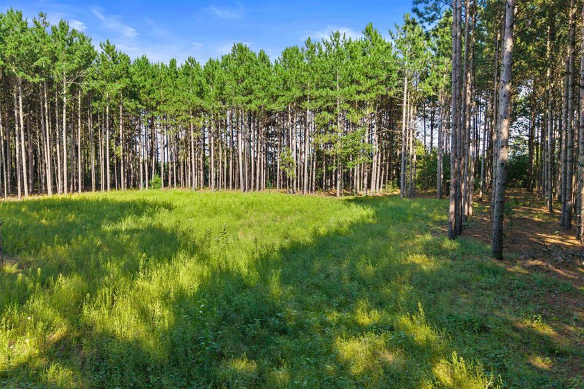 Improved waterfront lot with breathtaking views on Wisconsin's - photo 13
