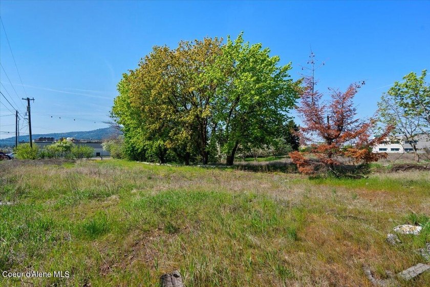 Exceptional Commercial lot adjacent to Northwest Specialty - photo 16