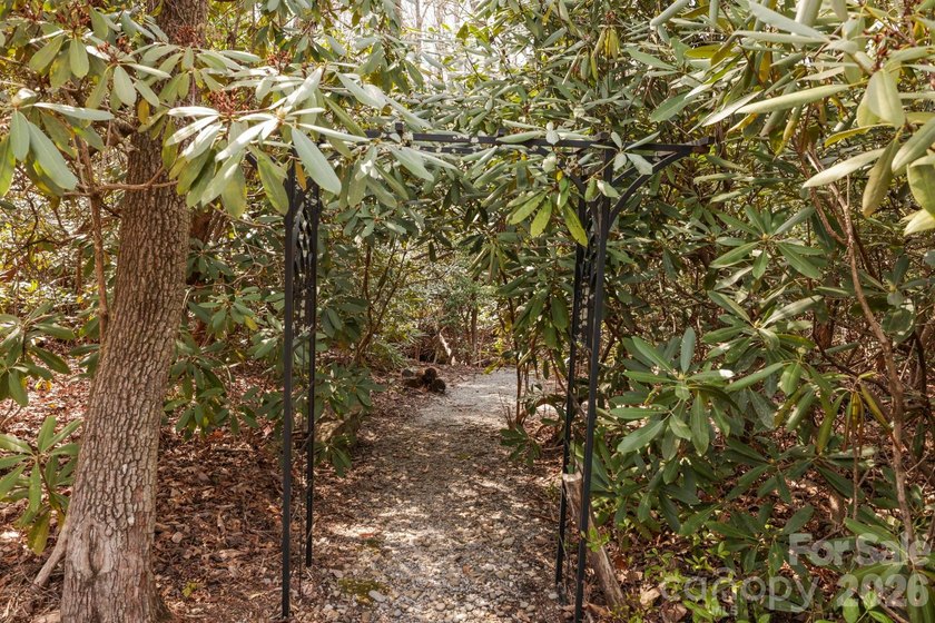 Step into this Kenmure home that feels like a private retreat - photo 5