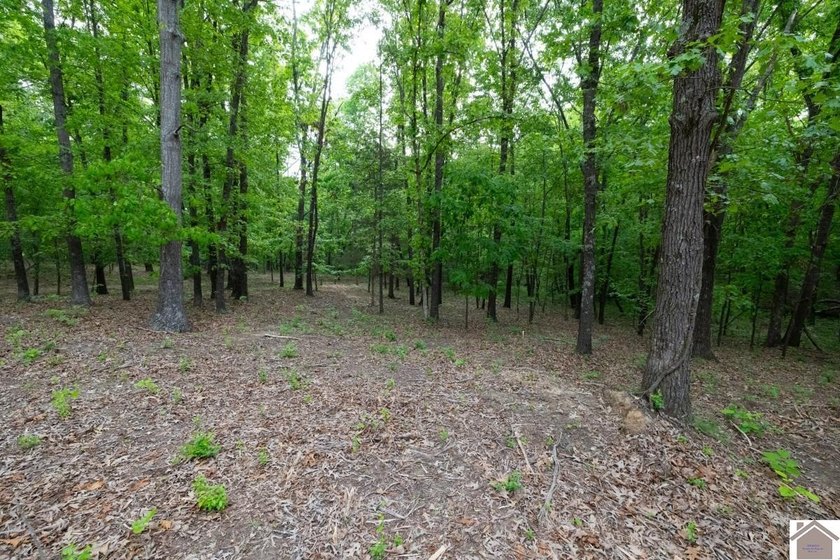 This 7.182+/- acre tract in Marshall County, Kentucky offers an - photo 24