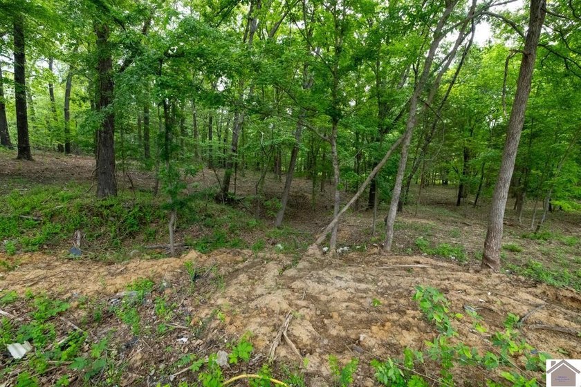 This 7.182+/- acre tract in Marshall County, Kentucky offers an - photo 29