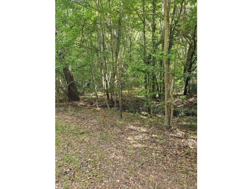 Nestled in the heart of Johns Island, this beautiful and - photo 2