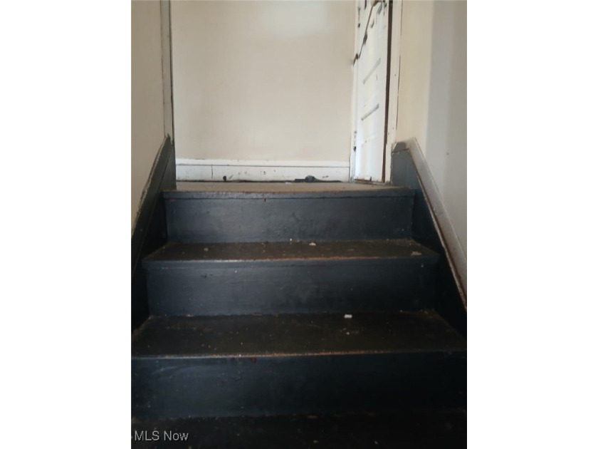 Charming Colonial with Great Potential in Cleveland! Welcome to - photo 8